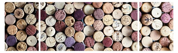 Obraz - Sezon na wino (170x50 cm)