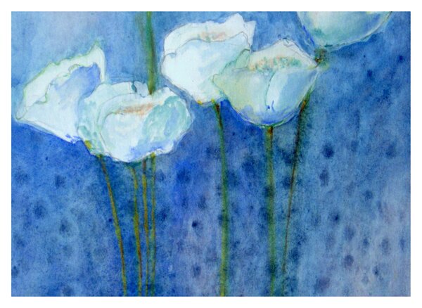 Obraz - Białe tulipany (70x50 cm)