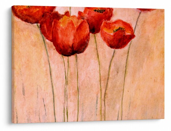 Obraz - Czerwone tulipany (70x50 cm)