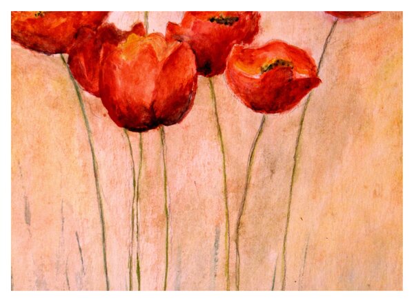 Obraz - Czerwone tulipany (70x50 cm)