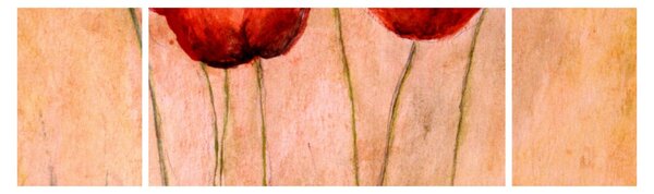 Obraz - Czerwone tulipany (170x50 cm)