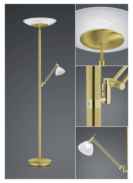 HELL Lampa stojąca LED Findus, możliwość ściemniania, mosiężny / złoty, salon / jadalnia, metal, nowoczesny
