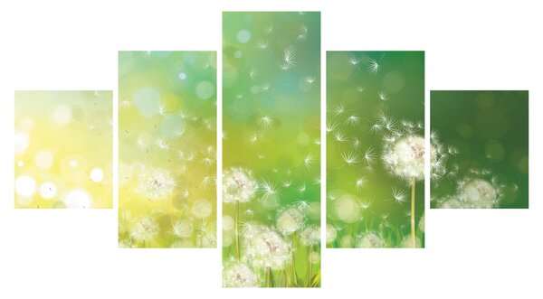 Obraz - Kwitnące mlecze (125x70 cm)