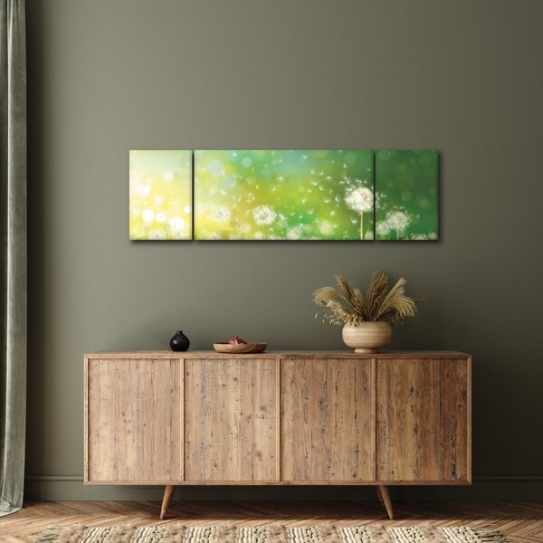 Obraz - Kwitnące mlecze (170x50 cm)