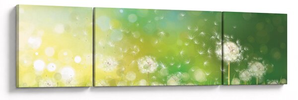 Obraz - Kwitnące mlecze (170x50 cm)
