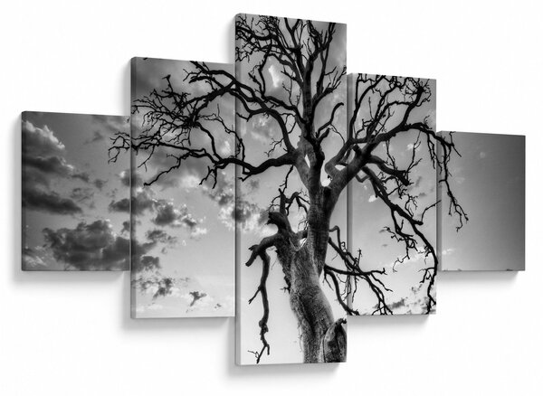 Obraz - Czarno - białe drzewo (125x70 cm)
