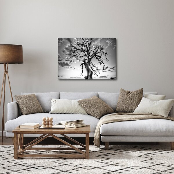Obraz - Czarno - białe drzewo (70x50 cm)