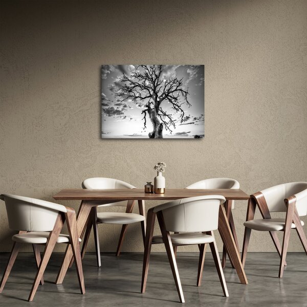 Obraz - Czarno - białe drzewo (70x50 cm)