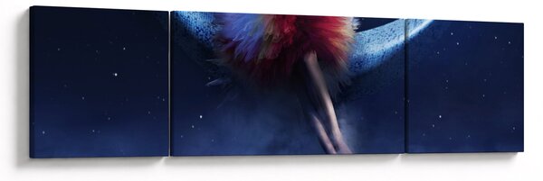 Obraz - Piękno na księżycu (170x50 cm)