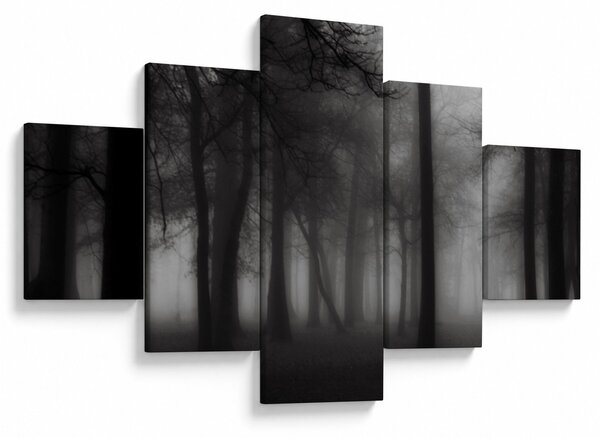 Obraz - Las we mgle (125x70 cm)