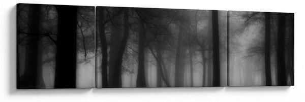 Obraz - Las we mgle (170x50 cm)