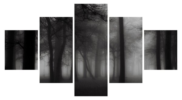 Obraz - Las we mgle (125x70 cm)