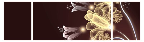 Obraz - Świecące kwiaty (170x50 cm)