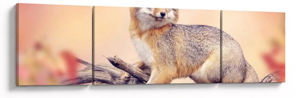 Obraz - Lis (170x50 cm)
