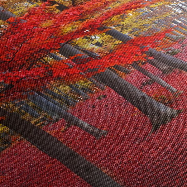 Obraz - Czerwony Las (170x50 cm)