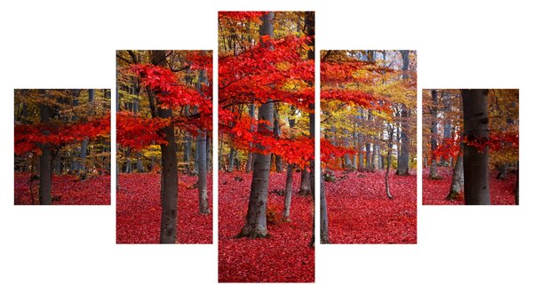 Obraz - Czerwony Las (125x70 cm)