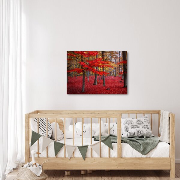 Obraz - Czerwony Las (70x50 cm)