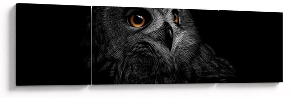 Obraz - Sowa, ilustracja (170x50 cm)