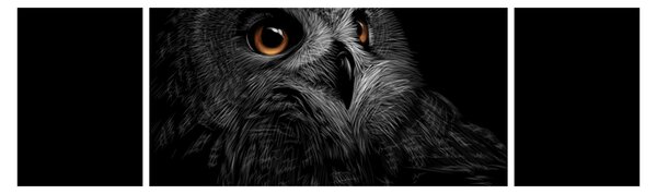 Obraz - Sowa, ilustracja (170x50 cm)