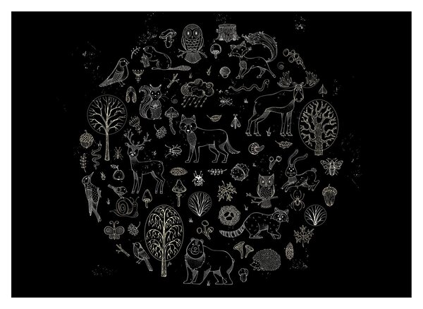 Obraz - Natura (70x50 cm)