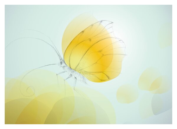 Obraz - Żółty motyl (70x50 cm)