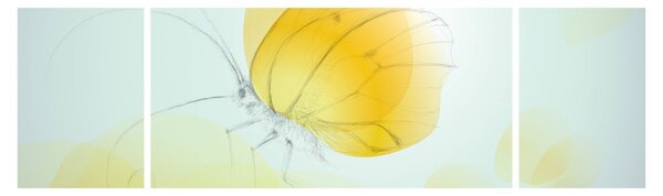 Obraz - Żółty motyl (170x50 cm)