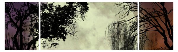 Obraz - Księżyc w pełni nad powierzchnią (170x50 cm)