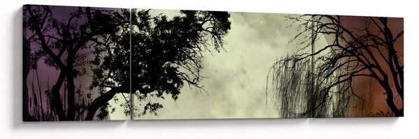Obraz - Księżyc w pełni nad powierzchnią (170x50 cm)