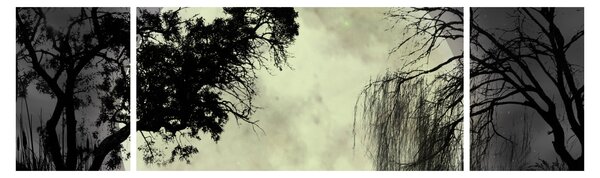 Obraz - Księżyc w pełni nad powierzchnią, wersja czarno - biała (170x50 cm)