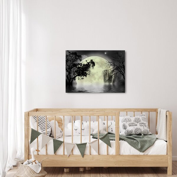 Obraz - Księżyc w pełni nad powierzchnią, wersja czarno - biała (70x50 cm)