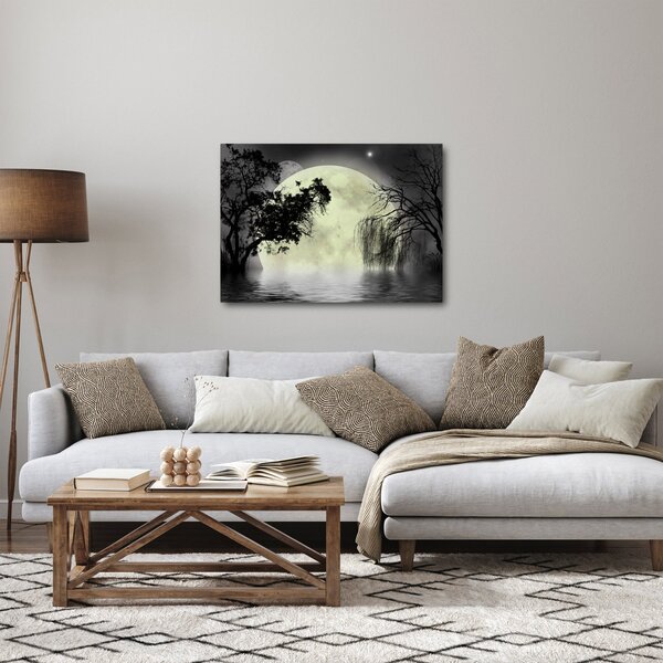 Obraz - Księżyc w pełni nad powierzchnią, wersja czarno - biała (70x50 cm)