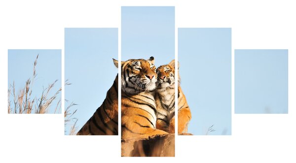 Obraz - Tygrysica i jej młode (125x70 cm)