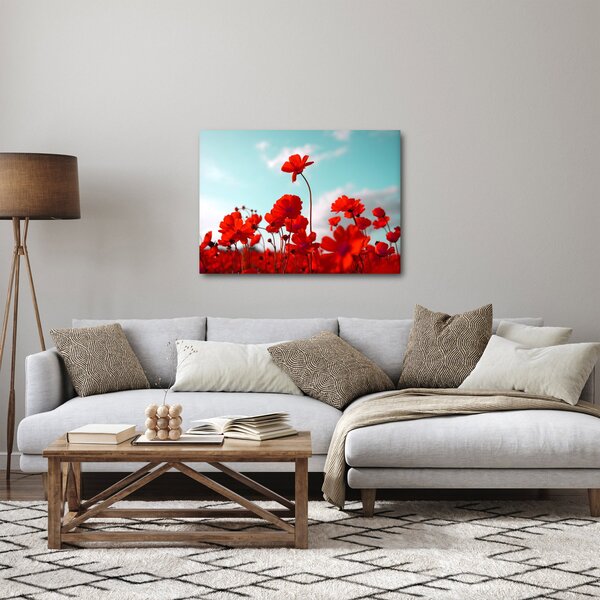Obraz pola z jasnoczerwonymi kwiatami (70x50 cm)
