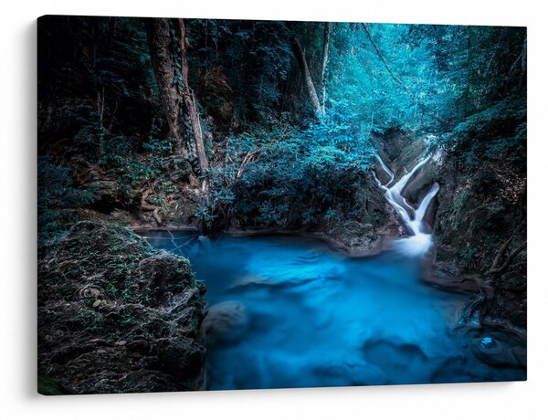 Obraz - Magiczna noc w tropikalnym lesie (70x50 cm)