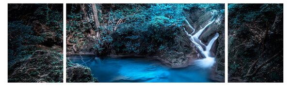 Obraz - Magiczna noc w tropikalnym lesie (170x50 cm)