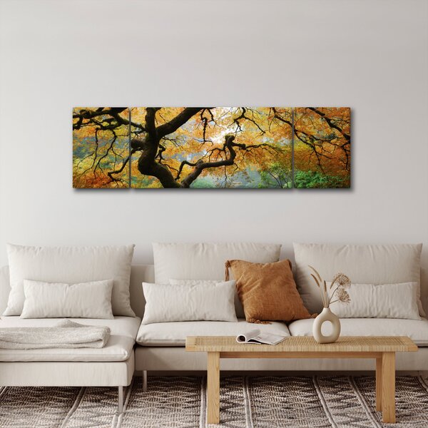 Obraz żółtego klonu japońskiego, Portland, Oregon (170x50 cm)