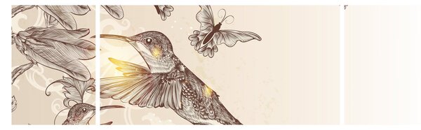 Obraz - Kolibry (170x50 cm)