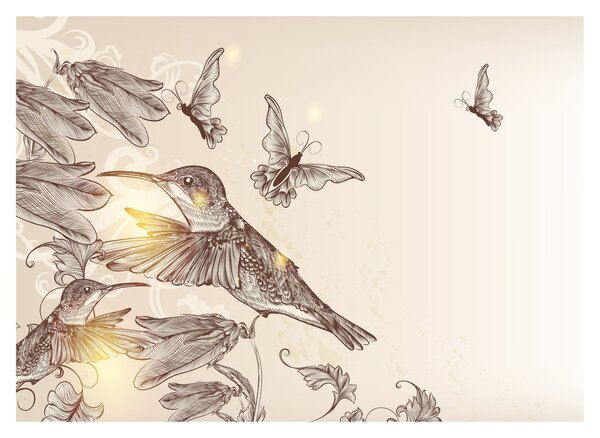 Obraz - Kolibry (70x50 cm)