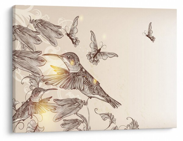 Obraz - Kolibry (70x50 cm)