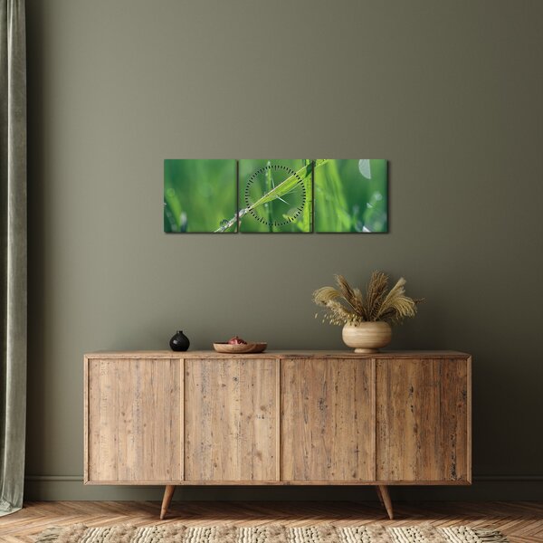Obraz kropli rosy (z zegarem) (90x30 cm)