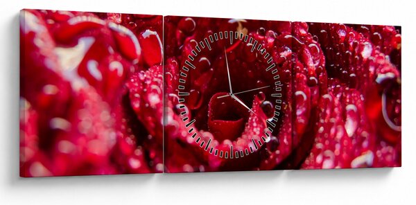 Obraz czerwonego kwiatu róży (z zegarem) (90x30 cm)