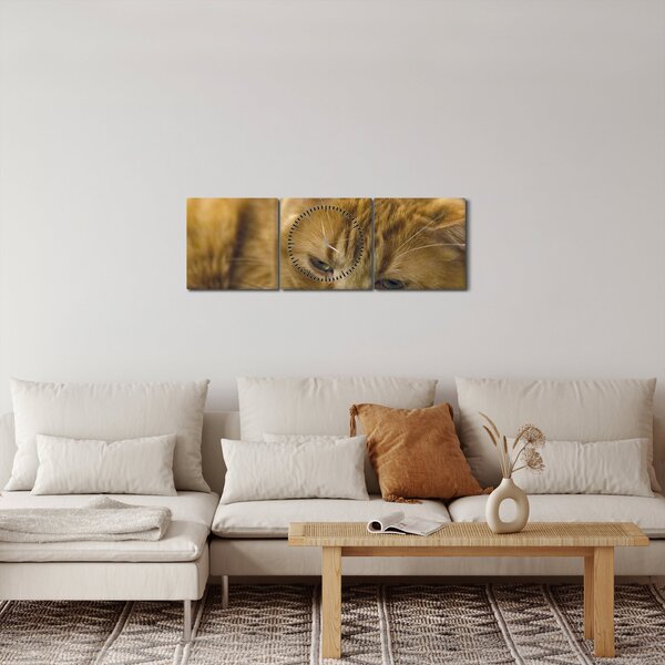 Obraz kota (z zegarem) (90x30 cm)