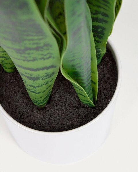 Sztuczna roślina (wysokość 55 cm) Sansevieria – Kave Home