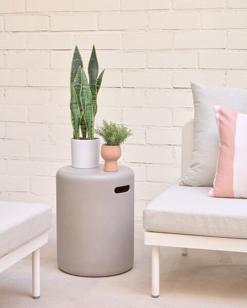 Sztuczna roślina (wysokość 55 cm) Sansevieria – Kave Home