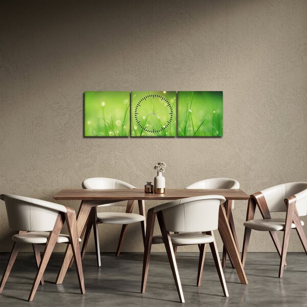 Obraz - rosa na trawie (z zegarem) (90x30 cm)