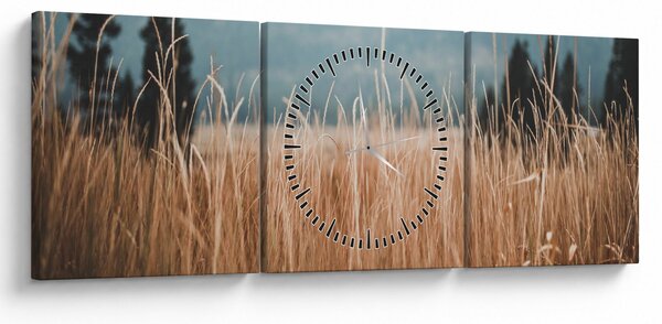 Obraz - szczegół łąki (z zegarem) (90x30 cm)