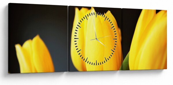 Obraz tulipanów (z zegarem) (90x30 cm)