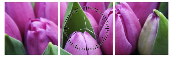 Obraz - kwiaty tulipanów (z zegarem) (90x30 cm)