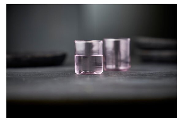 Kieliszki do wódki 2 szt. 60 ml Torino – Lyngby Glas