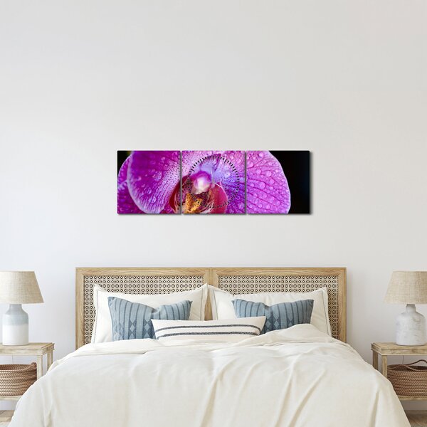 Zbliżenie kwiatu orchidei (z zegarem) (90x30 cm)